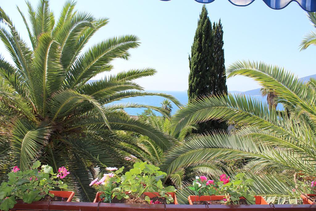 Apartmani I Sobe Goca Herceg Novi Dış mekan fotoğraf