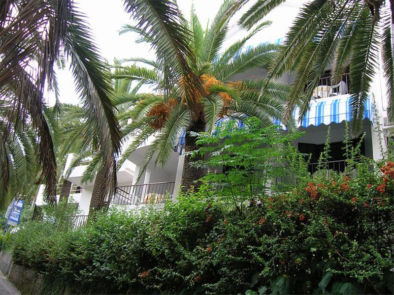 Apartmani I Sobe Goca Herceg Novi Dış mekan fotoğraf