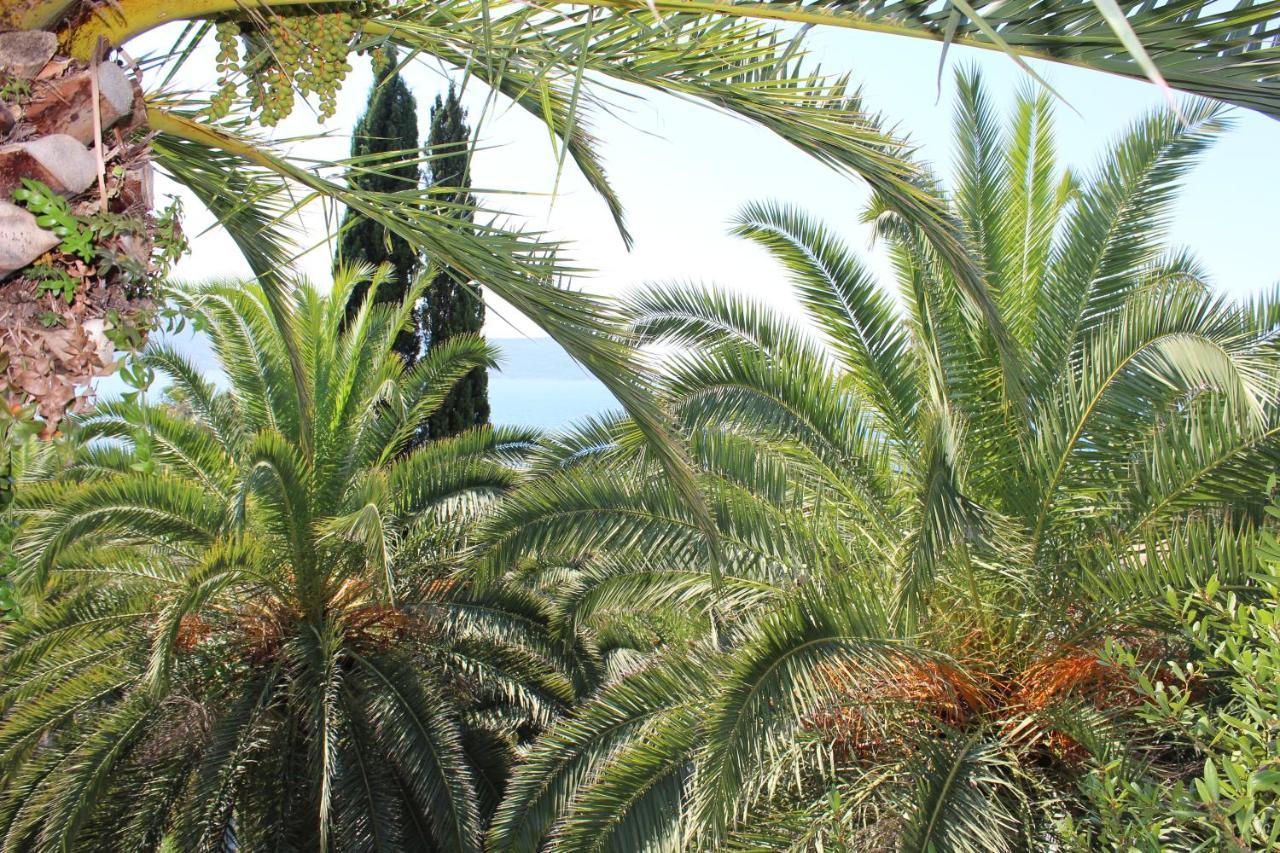 Apartmani I Sobe Goca Herceg Novi Dış mekan fotoğraf